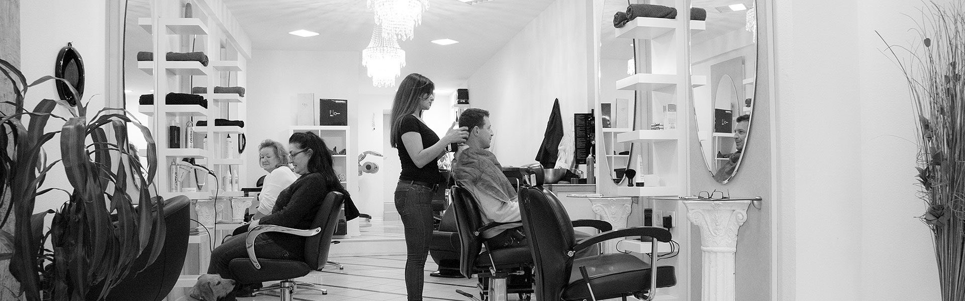 Banner_Salon Banner_Salon